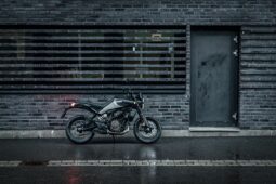125 SVARTPILEN 2024